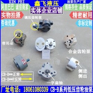 Hydraulic CB-B6 Gear Pump CB-B2.5 Oil Pump Low Pressure CB-B4 Gear CB-B10 Oil Pump O3LZ