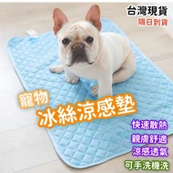 Next Day Daily Pet Ice Silk Cooling Pad Dog Cat Mattress UP7I