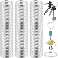 1500PCS Split Key Rings, Silver Key Chain Rings Bulk, Metal Key Ring for Key and Art Crafts Dog Pet 