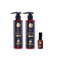 JAJJA CHINTA Perfect Repair SET B (Rawatan Rambut Rosak)