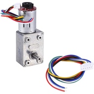 10RPM DC Worm Gear Motor 12V High Reduction high dc Motor with Encoder Srong Self-Locking 6mm Output