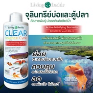 จุลินทรีย์ แบคทีเรีย บ่อปลา ตู้ปลา น้ำใส ตะไคร่ ย่อยของเสีย กลิ่น Living Inside