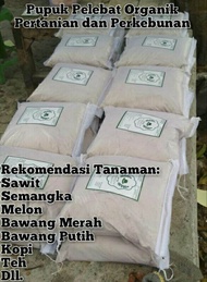 Pupuk Booster Pertanian dan Perkebunan Kemasan 5 kg Untuk SawitBawang MerahBawang PutihSemangkaMelon