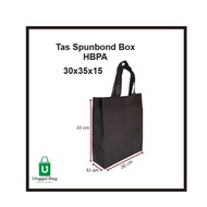 Spunbond Box Bag 30x30x15 Emados Bento Goodie Bag/