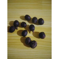 ❂4 pcs. Bay leaf seeds Money Magnet Seeds, Laurel Seeds 4 pcs.✭