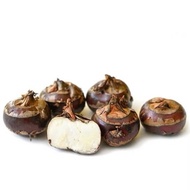 500Gm-Water Chestnut Per Pack