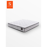 Steroland Mattress Independent Spring Zone 5 Silent Latex Hotel Mattress Moderate Hardness Modern Ri