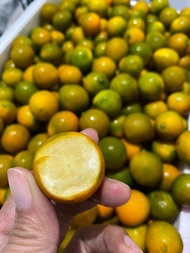 jeruk kimkit 1kg fresh import madu manis