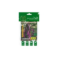 MIT Asia Ban Lee Huat Seed F1 Hybrid Eggplant - Harvest 333