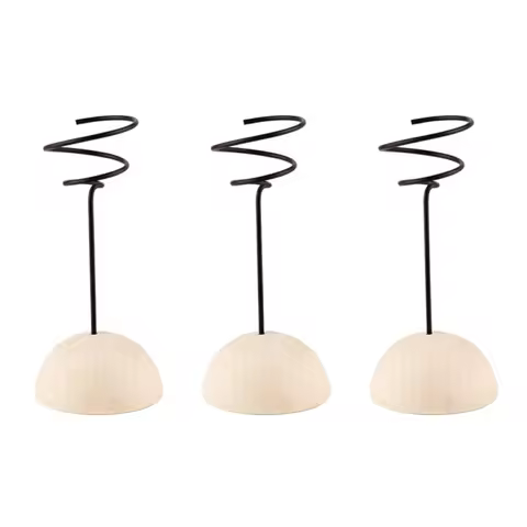Decorative Wood Support For Air Plants Hemisphere Base Stand Tillandsia Holder Minimalist Home Offic