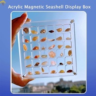 Acrylic Magnetic Seashell Display Box Beads Storage Display Organizer Box