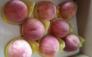【預購！最優質的水蜜桃 8入(2斤)】產季只有一個月 讓人垂涎欲滴的拉拉山水蜜桃！