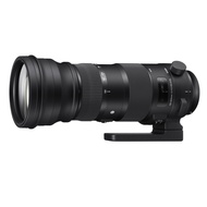 SIGMA 150-600mm F5-6.3 S DG OS HSM 相機鏡頭 for CANON接環 公司貨
