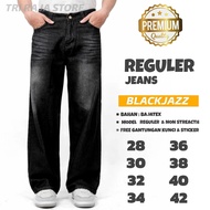 Regular FIT - Men's Regular Length Standard Jeans / Men's Standard Length Jeans / Large Size Regular