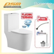 Sorento Ceramic Material One Piece Design Twister Washdown Flushing System Toilet Bowl WC SRTWC8354-