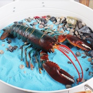 Simulation Lobster Model Toy Solid Ocean Large Boston Big Lobster Australian Lobster Fish Tank Lands
