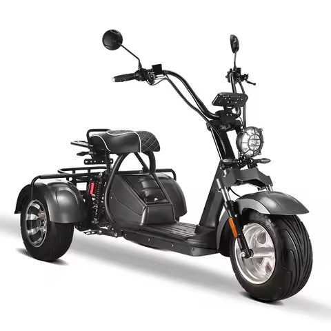 Three Wheel Electric Bicycle Bike Fat Tire Motor 2000w Electric Tricycle Fat Tyre 3 Wheel Electric M