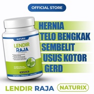 Hernia, Angin Pasang, Telor Bengkak Sebelah, Radang Usus, Sembelit, Gerd, Buncit – Herba Lendir Raja