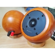 Pioneer Removable Tre Shell Speaker