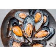 Mussels 20pcs | Half Shell Mussels | Normal / Cheese Baked | BBQ Seafood | Ready to Cook | Grill / B