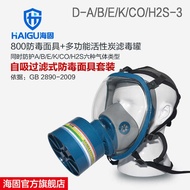 Haigu 800 Cover P-A/B/E/K/H2S/CO-3 Level Three Integrated Canister Gas Mask