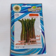 Ready Stock Benih asparagus purple import dari thailand
