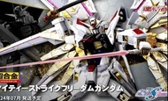 徵收 超合金mighty strike freedom metal build龍王丸