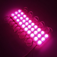 LED Modul Strip 3 Mata 12V 24V / Lampu Modul Mata Timbul / 3030 SMD 7520 Waterproof
