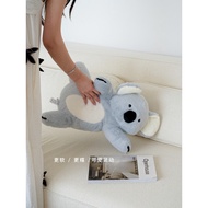 [Lazy Koala Doll] TEXDREAM Attitude Soothing Plush Doll Living Room Sofa Pillow Premium Gift Giving