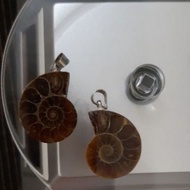 斑彩风水螺吊坠一对/Ammonite Fossil Pendant 1 Pair