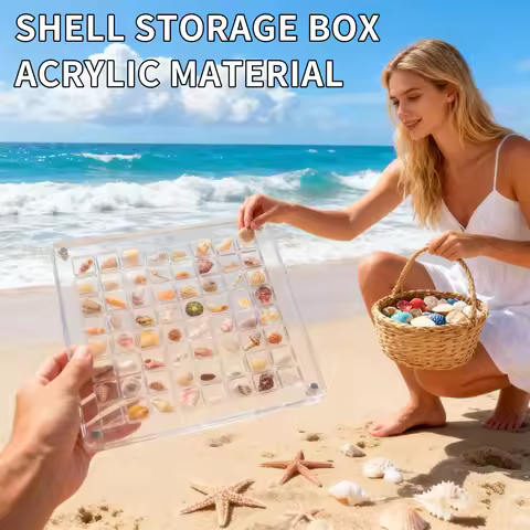 Acrylic Shell Storage Box - Screw Transparent Ornament - Conch Specimen Display Box - Gold Bean Jewe