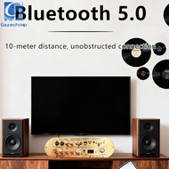 [Gazechimp] Digital Amplifier Board Universal Home Theater Sound System 10M Connection D900