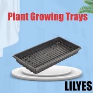 LILYES 10Pcs Plant Growing Trays, Reusable No Holes Seed Propagation Tray, Sprout Hydroponic Systems Durable Plastic 550x285x60mm Bonsai Flowerpot Tray Wheatgrass