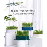 [Cats Dogs Pikas Can Eat] Cat Grass Hydroponic Box Device Dish Soilless Cultivation Wheat Bar