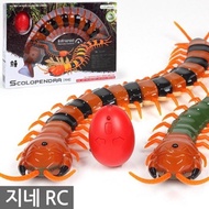 centipede rc radio control centipede