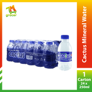 Cactus Mineral Water 1 Carton (250ml x 24)