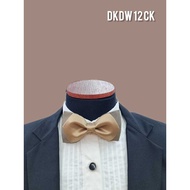 Men's tie | Men's bow tie | Tie Tie | Ribbon tie | DKDW12