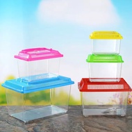 Portable Plastic Fish Tank Aquarium Betta Guppy Turtle Bekas Ikan Akuarium Kura Kura (7 Size)