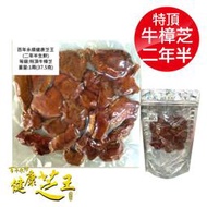百年永續健康芝王 (兩年半) 特頂牛樟芝 生鮮品 37.5g x1兩 專品藥局