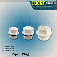 PPR PIPE PLUG PLAIN PIPE FITTINGS (1/2M , 3/4M , 1"M )