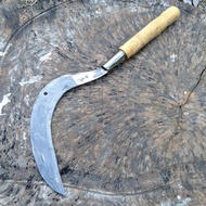 Sabit Rumput Baja Isen Super Tajam Model Madura - Arit Pengaritan Panen Padi Ukuran Kecil Termurah