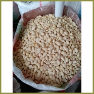 ☼ ¤ ▩ Hilaw na Mani Raw Peanuts 1kilo per pack