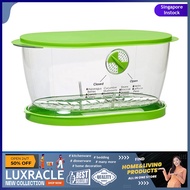[sgstock] Progressive LKS-06 Prep Solutions Lettuce Keeper, 4.7 Quarts, Green