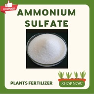 AMMONIUM SULFATE FERTILIZER   - 10grams