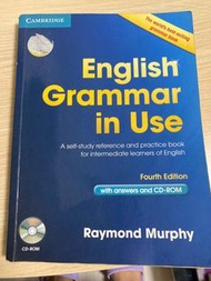 English grammar in use