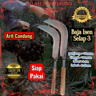Sabit Arit Candung Panen Pruning Pohon Salak Baja Isen Selap 3 Super AM19 Wonosobo