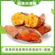 全城熱賣 - 越南貓山王榴蓮蜜薯(500g)