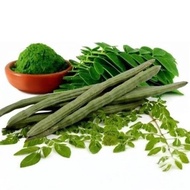 Moringga Powder/Kelor