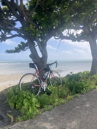 2010 Cannondale CAAD8