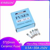 20pcs 100pcs Ceramic Fuse 5*20mm 250V Fast Blow Fuse F 0.5A 1A 2A 3A 3.15A 4A 5A 6A 6.3A 8A 10A 15A 